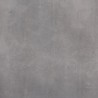 Płyta STARGRES STARK PURE GREY 90x90 2cm