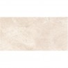 PŁYTA PORCELANI PR16 60x120 2 cm