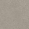 Płyta STARGRES VOYAGER TAUPE TOWN 60x60 2 cm