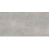 STARGRES Płyta na Podjazd STARK  Graphite 45x90  3cm