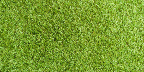 Jak położyć sztuczną trawę? Mocowanie sztucznej trawy do różnych rodzajów powierzchni